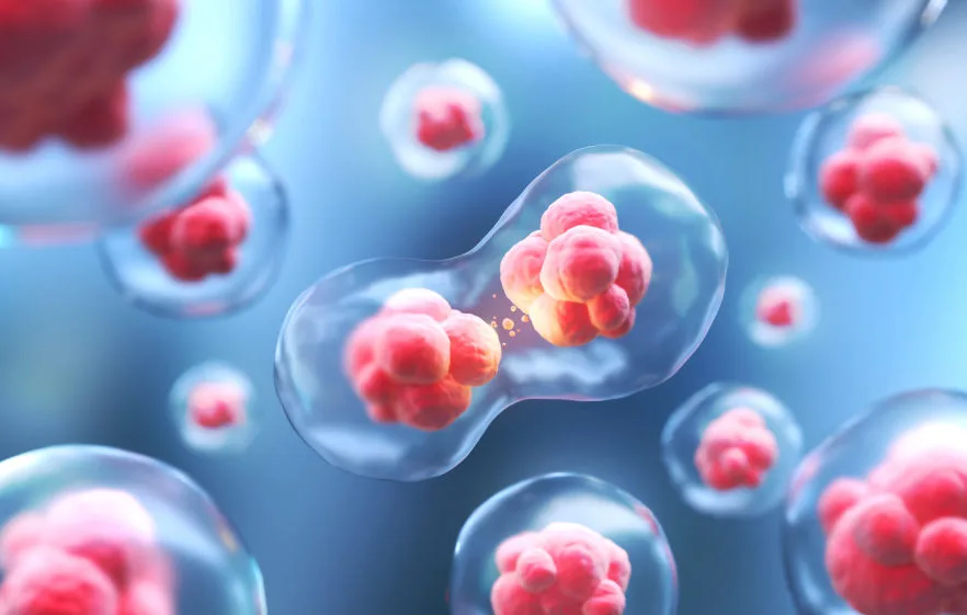 Cellule: medicina rigenerativa